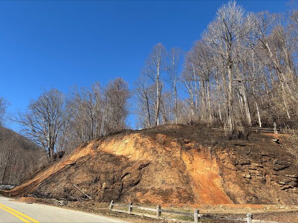 The fire that burned over 600 acres near Tryon, N.C., was sparked by a downed power line felled by heavy winds. The fire is extinguished now, but the black, sooty remains coat the forest floor. Sara Gregory/AJC