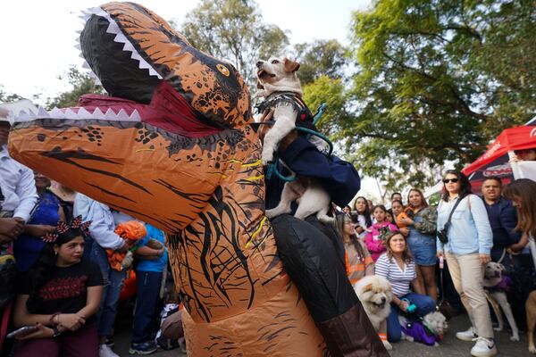 A pet owner holds her dog while sitting on an inflatable dinosaur during a pet costume contest as part of the Day of the Dead festivities in Mexico City, Sunday, Oct. 27, 2024. (AP Photo/Fabiola Sanchez)