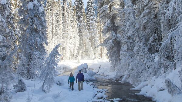 Snowshoeing in a winter wonderland near Emerald Lake Lodge in Yoho National Park. (Brad Kasselman/Chicago Tribune/TNS)