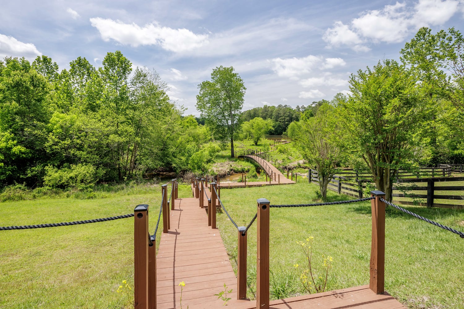 Luxurious Atlanta estate going to auction is both a ranch and a vineyard