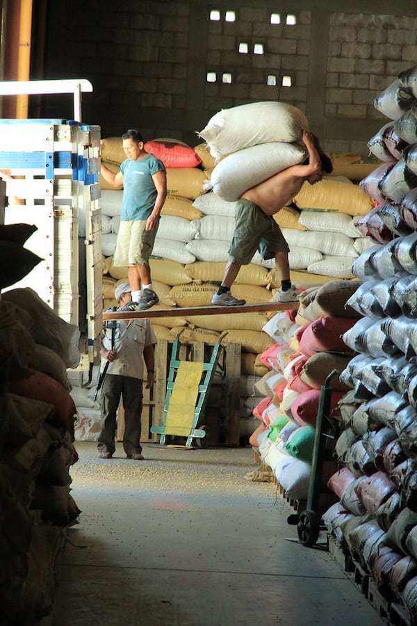  Once coffee is picked and processed, it arrives at a centralized warehouse and is prepared for export. A warehouse employee unloads a new arrival of washed coffee as it prepares for export from Guatemala./ Scott Umstattd.