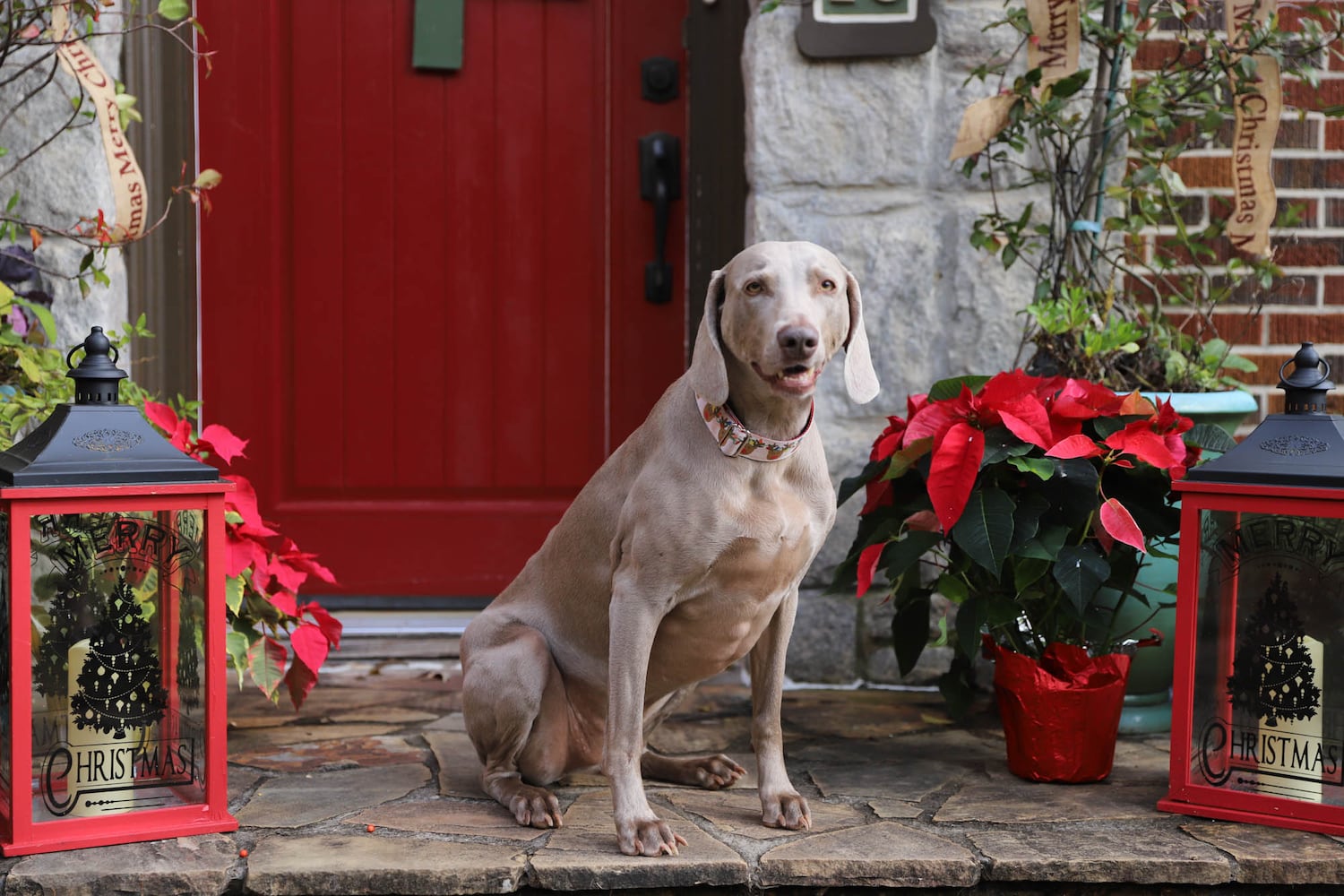 Photos: Avondale Estates Tudor home heralds holiday spirit