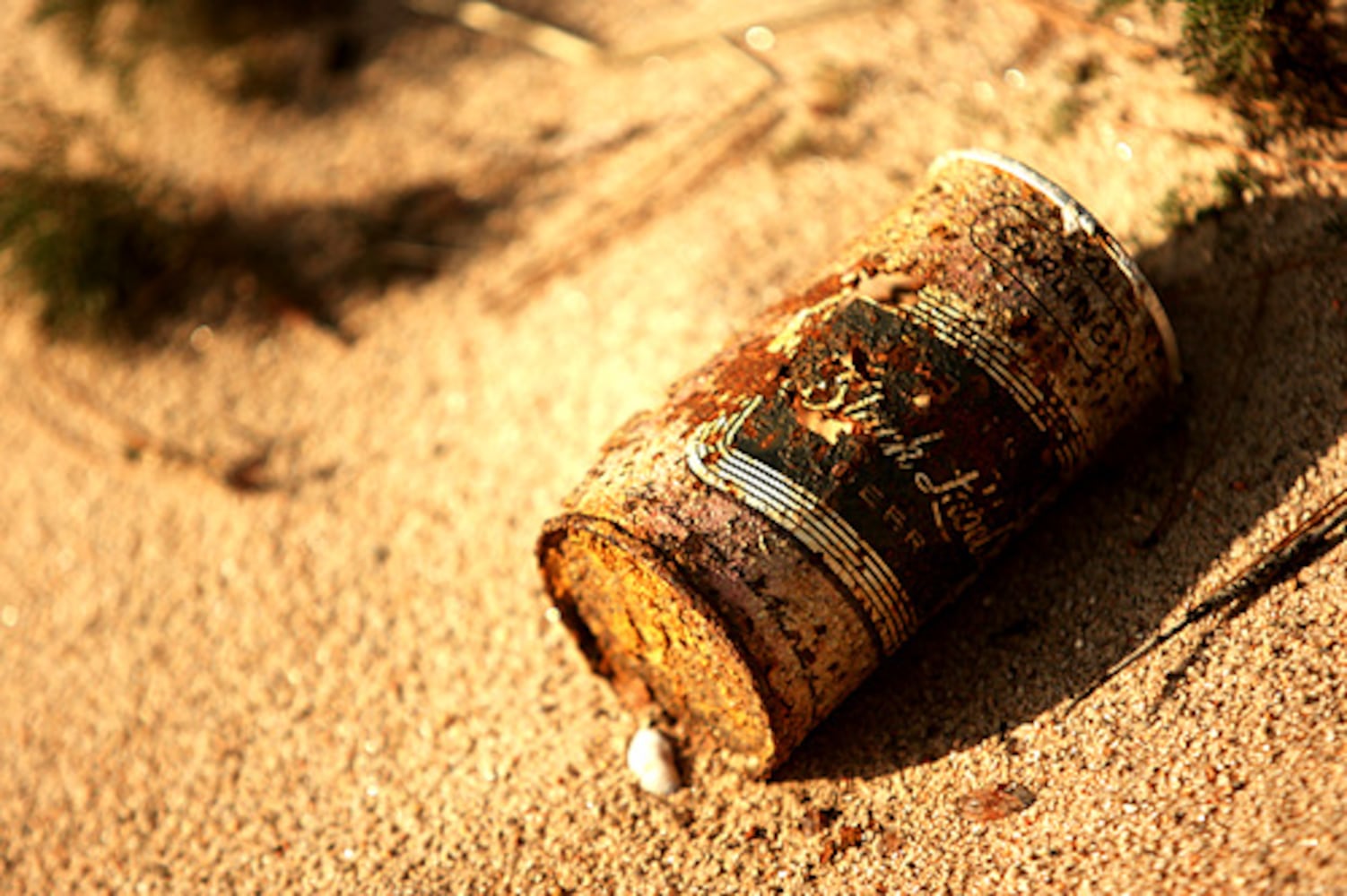 Lost and found under Lake Lanier