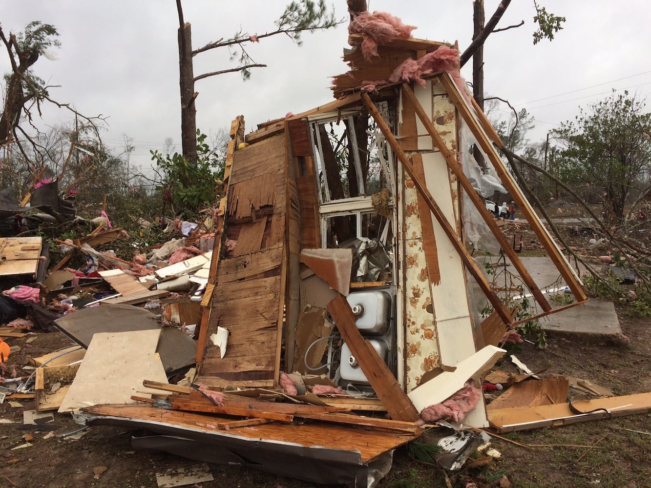 Dozens killed in South Georgia storms