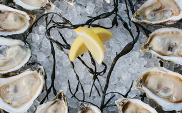 Enjoy the Raw Bar Happy Hour at Kimball House.