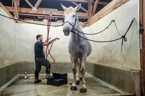 Atlanta’s mounted patrol unit moved from Piedmont Park to its current home in Grant Park in 1989.