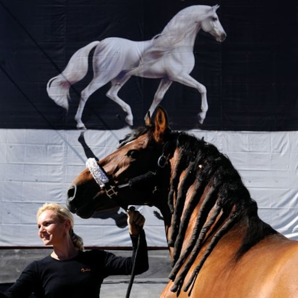 Cavalia' horses arrive in Atlanta