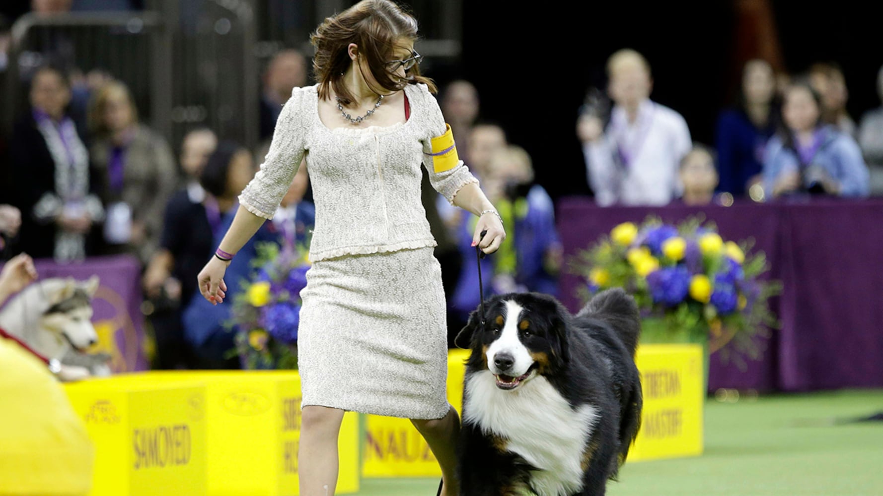 2019 Westminster Dog Show