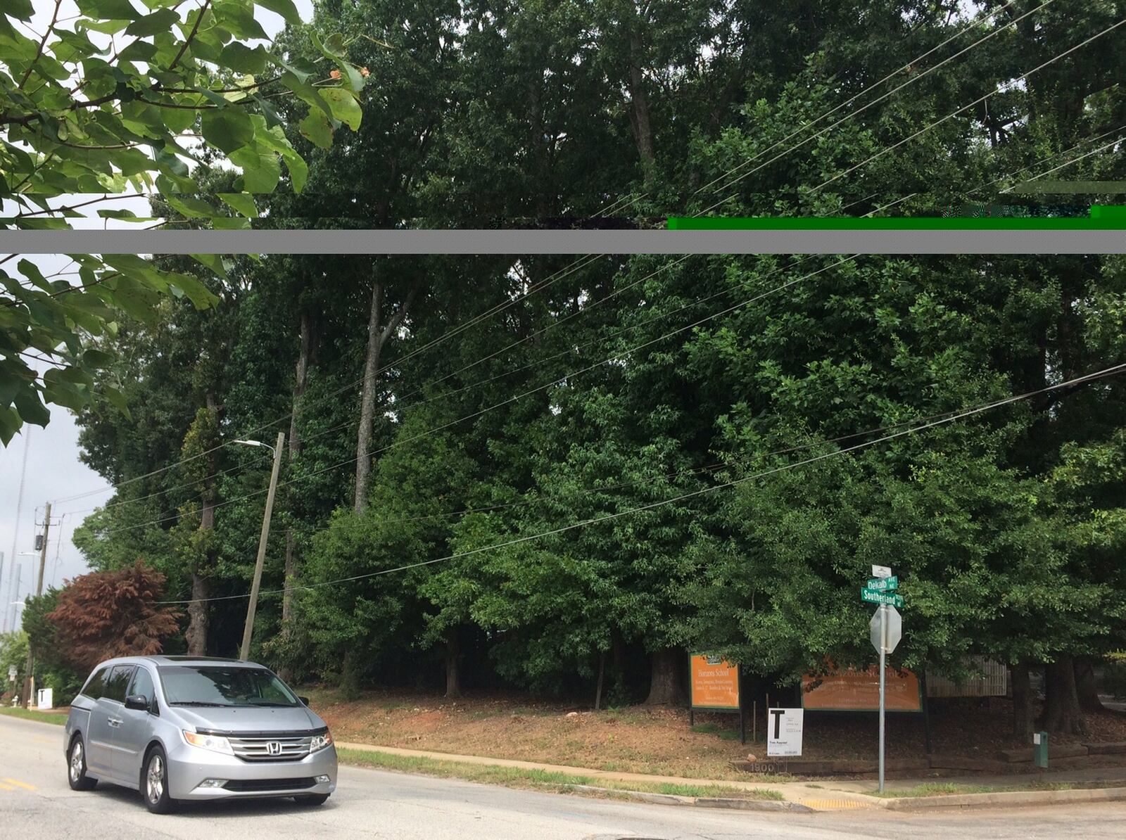 This stand of old trees fronting DeKalb Avenue may be saved because of a negotiation between residents and a builder.