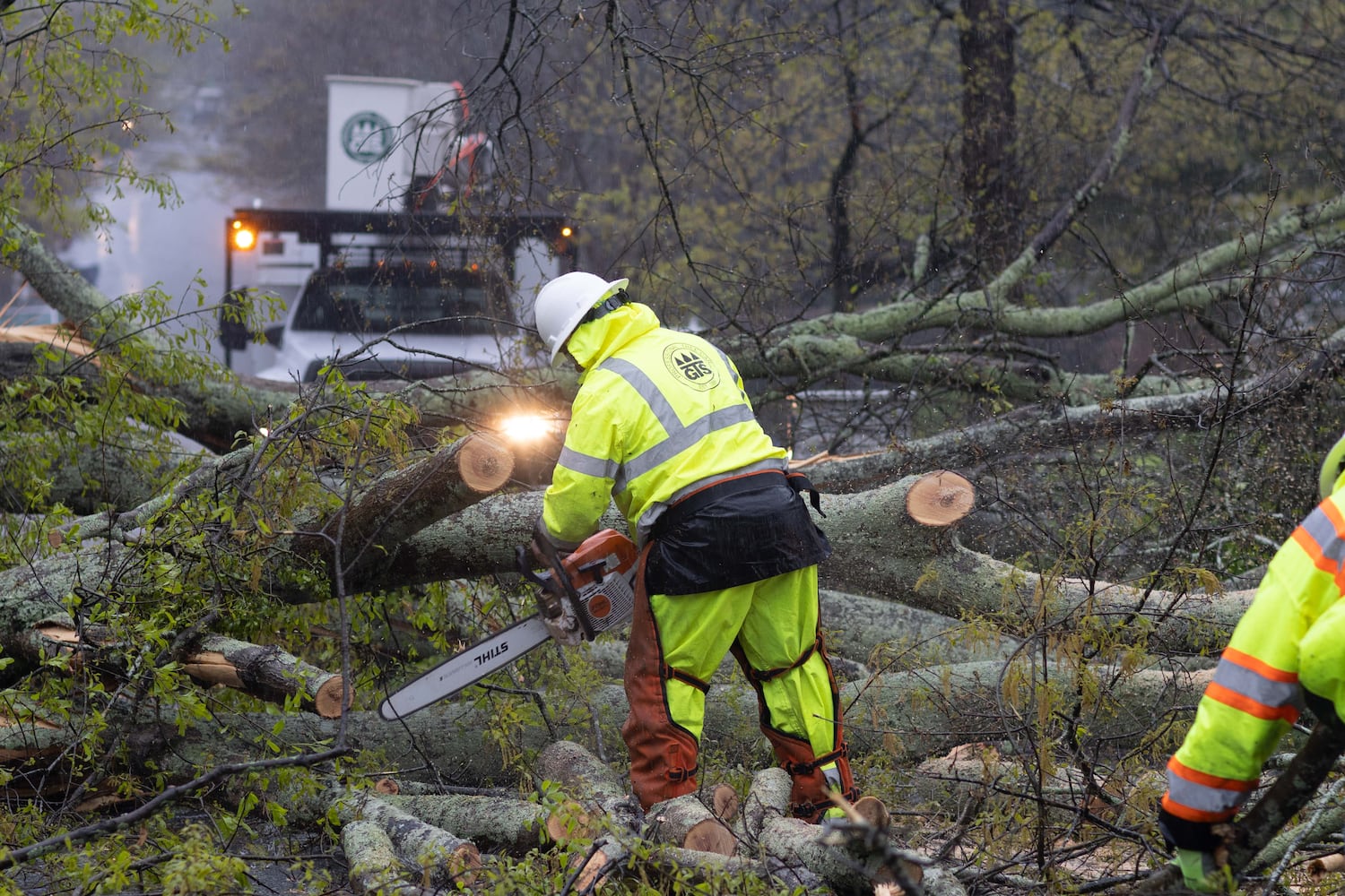 Strong storms bring down trees in Atlanta