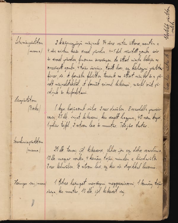 A page from the Fenves family's recipes that were saved by the family's cook, Maris.