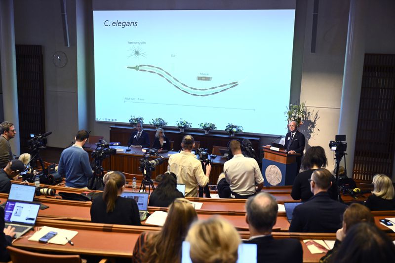 Olle Kämpe, right, professor of clinical endocrinology, explains the work of this year's Nobel Prize in Physiology or Medicine laureates Americans Victor Ambros, and Gary Ruvkun during a press conference at the Karolinska Institute in Stockholm, Sweden, on Monday, Oct. 7, 2024. (Christine Olsson/TT News Agency via AP)