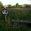 A free library and bench sit in a meadow in Callahan Park in Detroit, Tuesday, Sept. 10, 2024. (AP Photo/Paul Sancya)