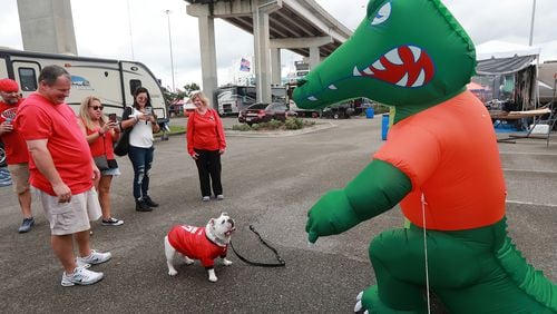 Sugar, a bulldog owned by Georgia fans, faces off with a Florida Gator before the 2018 game.   Curtis Compton/ccompton@ajc.com