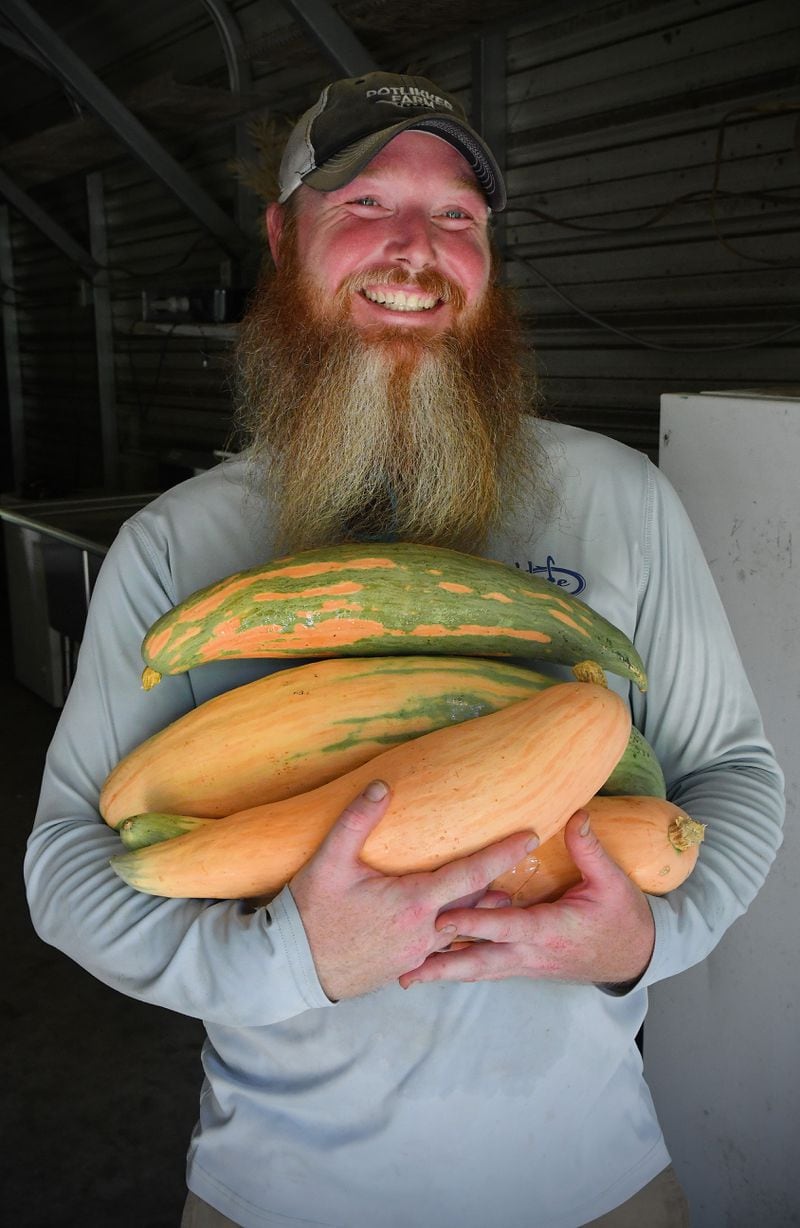 Sam McPherson holds a few of Potlikker Farm's recently picked candy roaster squash. Chris Hunt for The Atlanta Journal-Constitution 