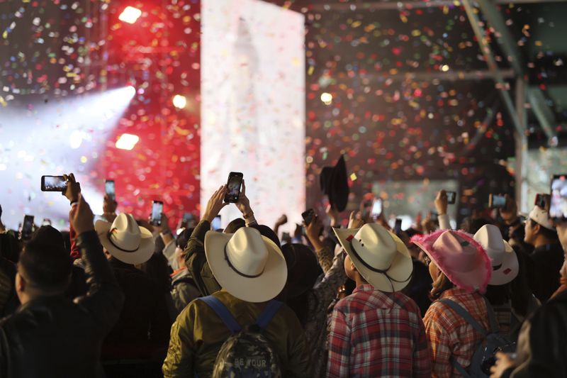 FILE - Music fans attend the Arre Music Festival, featuring Mexican regional artists, in Mexico City, Sept. 7, 2024. (AP Photo/Ginnette Riquelme, File)