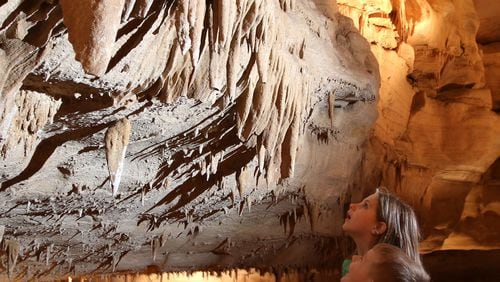 Inside Cumberland Caverns' 27.7 miles you'll see albino crawfish and bats.