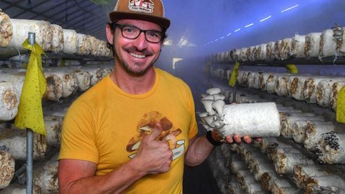 Howard Berk, co-owner of Ellijay Mushrooms in North Georgia, poses with a log of oyster mushrooms amidst the eerie mist and blue light in one of the greenhouses on the farm. (Chris Hunt for The Atlanta Journal-Constitution)