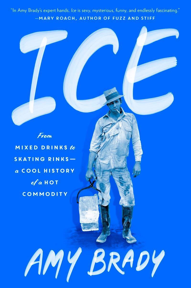 Author Amy Brady writes about how profoundly ice shaped our history and culture. Courtesy of Cate Barry Photography