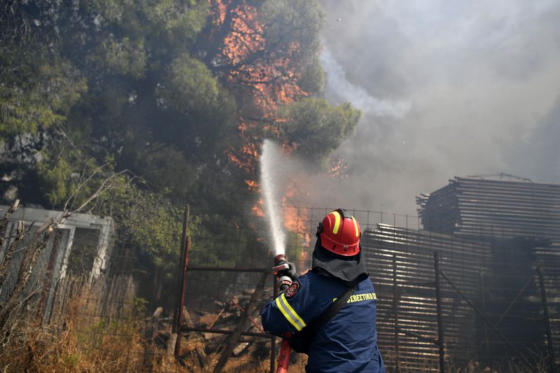 A firefighter tries to extinguish the flames on a burning tree in northern Athens, Monday, Aug. 12, 2024, as hundreds of firefighters tackle a major wildfire raging out of control on fringes of the Greek capital. (AP Photo/Michael Varaklas)