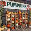 Truth in advertising: Yes, they've got pumpkins aplenty, as the sign proclaims, at Scottsdale Farms in Milton. Courtesy of Scottsdale Farms