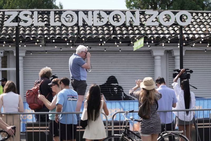 People take pictures of the new artwork unveiled by Banksy is seen in at London Zoo, Tuesday, August 13, 2024. (Stefan Rousseau/PA via AP)