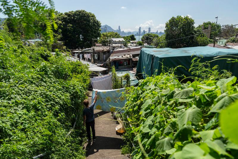 Villager Lo Yuet-ping attends to his laundry at the Cha Kwo Ling village in east Kowloon, Hong Kong, Sunday, Aug. 25, 2024. (AP Photo/Chan Long Hei)