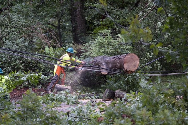 A worker cuts up a tree resting on power lines on Peachtree Battle Avenue NW in Atlanta on Friday, Sept. 27, 2024 following a night of heavy rain from Hurricane Helene.   Ben Gray for the Atlanta Journal-Constitution