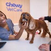Chewy, which made its name as an online retailer of pet food and pet products, has opened two in-person vet centers in metro Atlanta. Here in the Dunwoody location, a three-way interaction -- a customer, a pet and the client concierge.