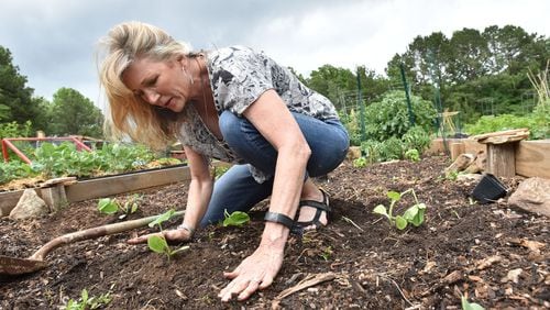 Tricia Stearns plants butternut squash at the Peachtree City Community Garden.