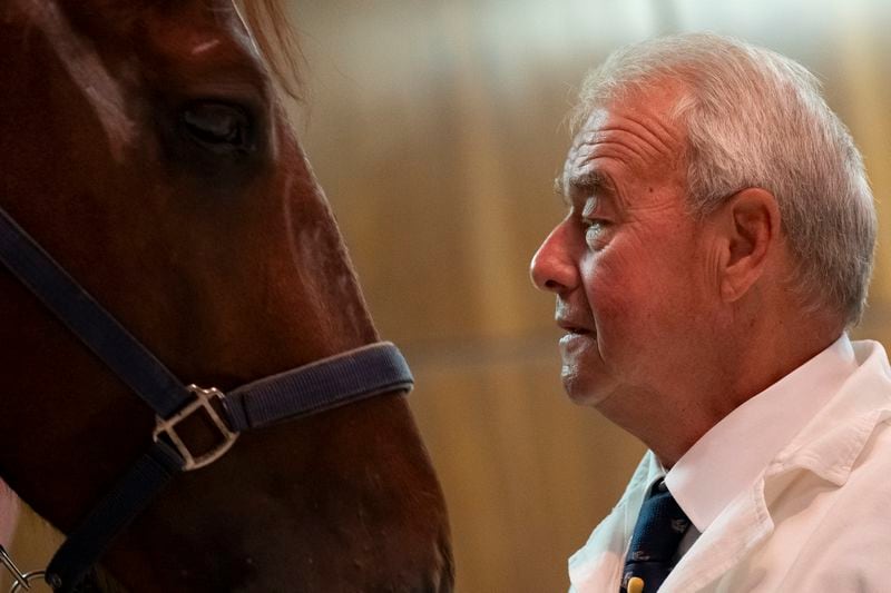 Dr. Peter Sotonyi, rector of the University of Veterinary Medicine in Budapest, Hungary, gives an anatomy lecture for first-year students, with a live horse, Monday, Sept 9. 2024. (AP Photo/Denes Erdos)