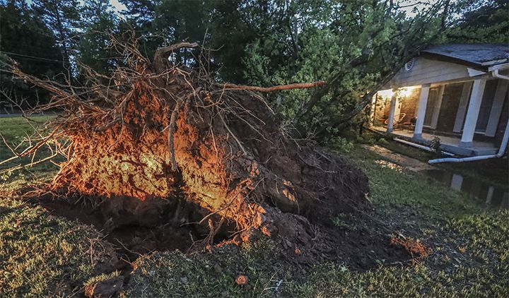 Photos: Tornadoes, violent storms rip through Georgia