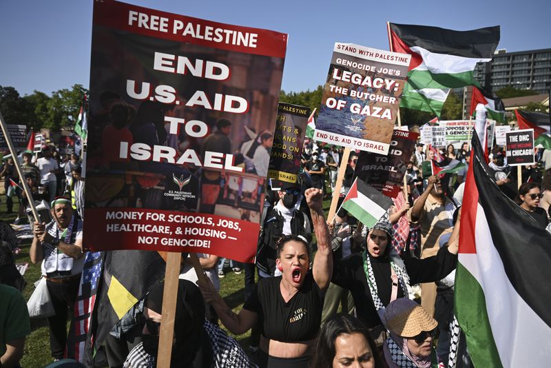 Protesters rally at a demonstration in Union Park during the Democratic National Convention Wednesday, Aug. 21, 2024, in Chicago. (AP Photo/Noah Berger)