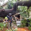 A crew at work removing a fallen tree from an Atlanta area home after Helene swept through the area.