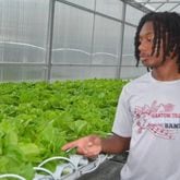 Dougherty High School student Trent McCrary, a summer intern with the Commodore Conyers College & Career Academy Agribusiness Pathway program, explains the process of growing lettuce at the hydroponics greenhouse. (Photo Courtesy of Alan Mauldin)