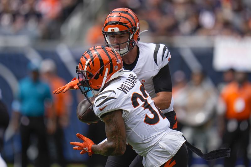 Cincinnati Bengals quarterback Logan Woodside (11) hands the ball off to running back Trayveon Williams (32) during the first half of an NFL preseason football game against the Chicago Bears, Saturday, Aug. 17, 2024, at Soldier Field in Chicago. (AP Photo/Erin Hooley)