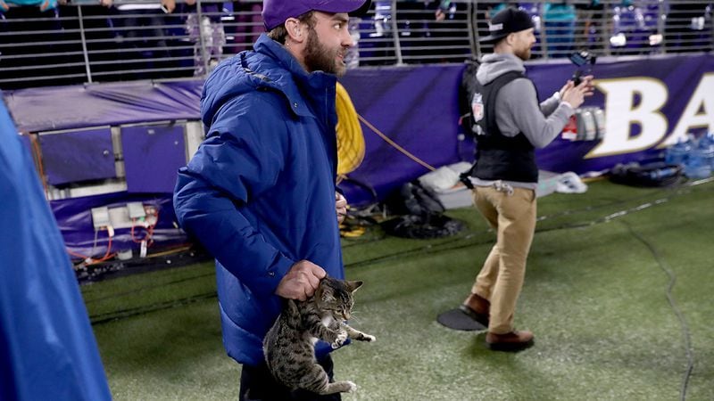 A cat is removed from the bench area of the Miami Dolphins late in the fourth quarter against the Baltimore Ravens at M&T Bank Stadium on October 26, 2017 in Baltimore, Maryland.