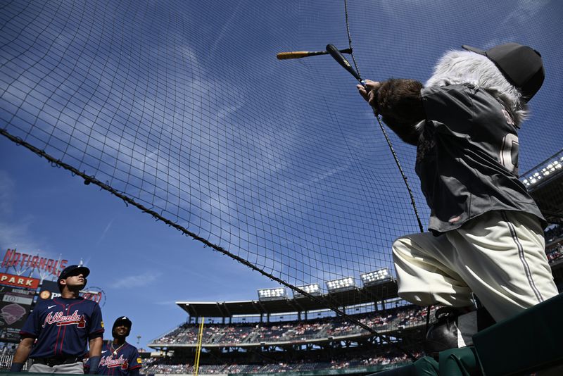 Washington Nationals' mascot Screech, right, tries to dislodge Atlanta Braves' Ozzie Albies's bat, second from bottom left, that got stuck in the netting after Albies' lost his grip on it during his at-bat in the first inning of a baseball game against the Washington Nationals, Saturday, June 8, 2024, in Washington. Braves' Austin Riley, bottom left, watches. (AP Photo/Nick Wass)