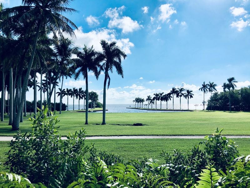 View of the palm-lined edge of Biscayne Bay and the boat basin at the Deering Estate.
(Courtesy of Deering Estate)