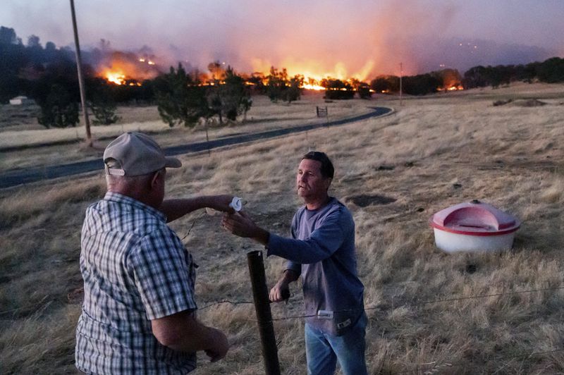 A rancher reconnects a fence after tending to cattle as the Aero Fire burns in the Copperopolis community of Calaveras County, Calif., Monday, June 17, 2024. (AP Photo/Noah Berger)
