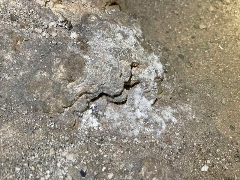 This undated photo provided by Carlsbad Caverns National Park shows mold growing where a bag of Cheetos was dropped off trail in the Big Room at the national park near Carlsbad, N.M. (Carlsbad Caverns National Park via AP)