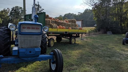 The farm’s 25-minute hayride takes guests around the grounds of the historic family farm.
Courtesy of Two Courtesy of Two Photography/Still Family Farm
