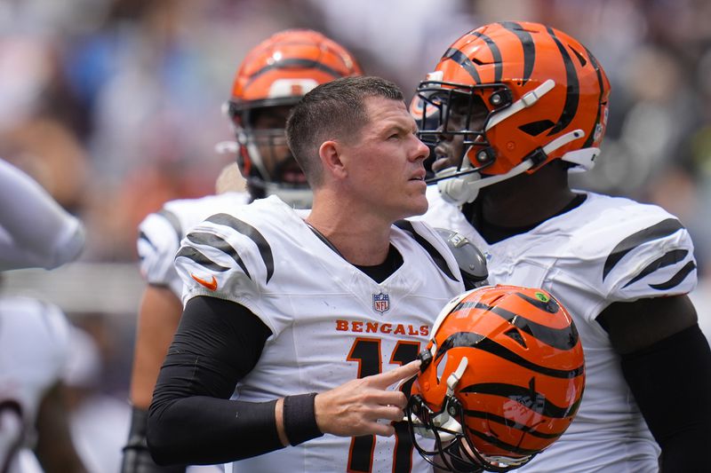 Cincinnati Bengals quarterback Logan Woodside (11) getting up and removes his helmet after he was sacked by Chicago Bears cornerback Kyler Gordon (6) during the first half of an NFL preseason football game, Saturday, Aug. 17, 2024, at Soldier Field in Chicago. (AP Photo/Erin Hooley)